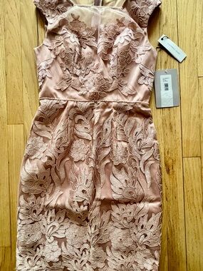 NWT SINCERELY JULES DRESS / SIZE 8 / BLUSH PINK / SLEEVELESS